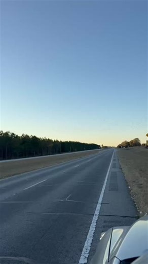 Bird migration away from the storms. Birds are heading south over Iron Mountain, Georgia into the panhandle of Florida. What kind of birds are they? The starling murmurations I have witnessed in the past I noticed the birds all flew much closer to each other. Any ideas? Michelle thought she saw a little bit of orange on some of them, but they were definitely smaller than blackbirds and smaller than even starlings I think. | Birds and Beaks Rescue and Rehab