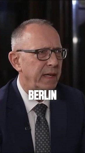 Why didn't the AfD members meet with Medvedev?