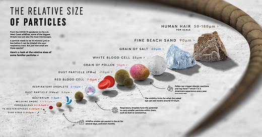 Zooming In: Visualizing the Relative Size of Particles
