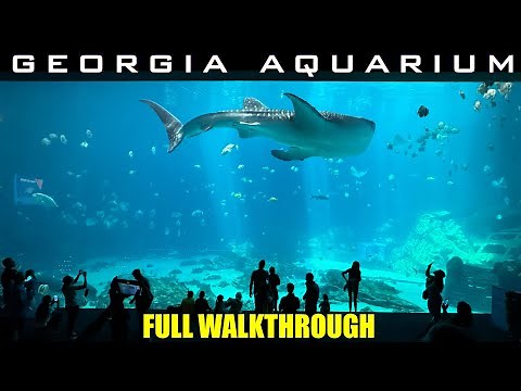 Georgia Aquarium - Walking Tour - Full Walkthrough 2024 - 4k - Largest Aquarium in USA