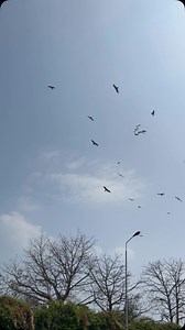 ‎ڪ🌻‎ on Instagram: "❤️‍🩹"