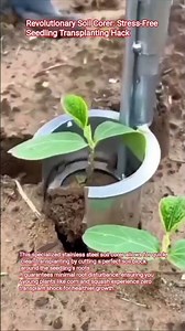 Revolutionary Soil Corer: Stress-Free Seedling Transplanting Hack