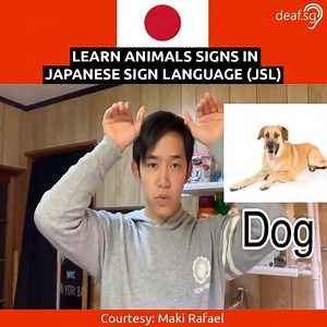 6.6K views · 177 reactions | Learn some animals signs in  Japanese Sign Language (JSL). Have a great fun in learning! 蘭 | Deaf Discovery | Facebook