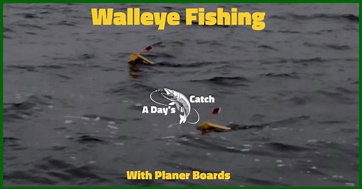 Walleye Fishing with Planer Boards | A Day's Catch