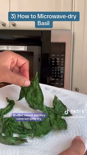How to Dry Basil: Tips and Techniques