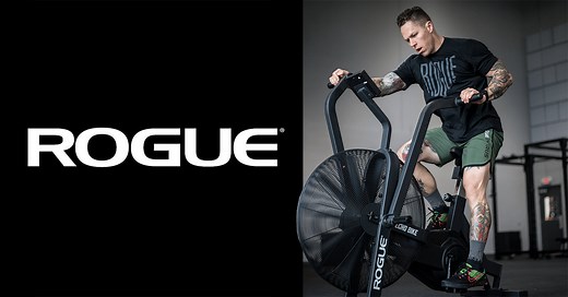The Best Guide to the Rogue Echo Bike (and 10 Workouts) - Outdoor Fitness Society