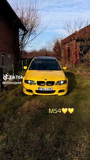 Exploring the BMW M54 Engine Performance