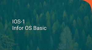 Infor OS Basic Course