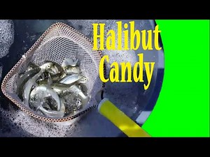 How to Catch Bait for Halibut