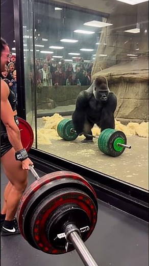 Gorilla Deadlifts 150 KG 💪🦍😱 | Beats American Female Bodybuilder in Zoo Challenge!
