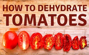 How to Dehydrate Tomatoes: Different Recipes Compared