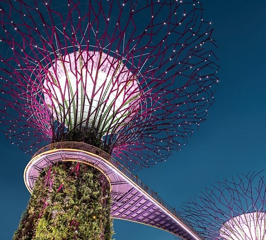 2025 Singapore GST Guide for Business Owners: Registration, Filing & Compliance | Piloto Asia