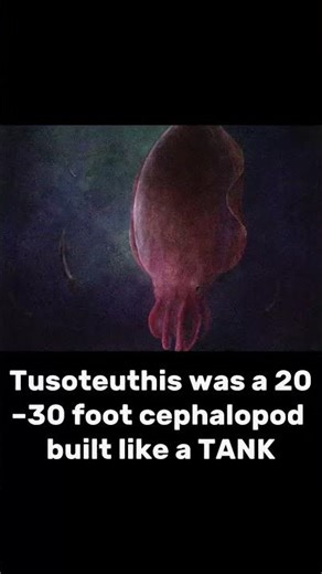 The Real Life Prehistoric Kraken!? #facts #predator #prehistoric #ancient #ark #squid #nature