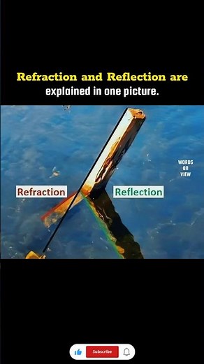 Refraction vs Reflection Explained in One Picture.