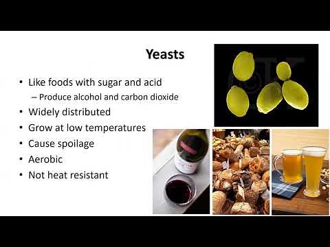 Microorganisms in Food