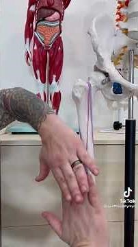 Traction Splints For Femur Fractures