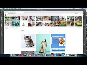 Unsplash for free photos