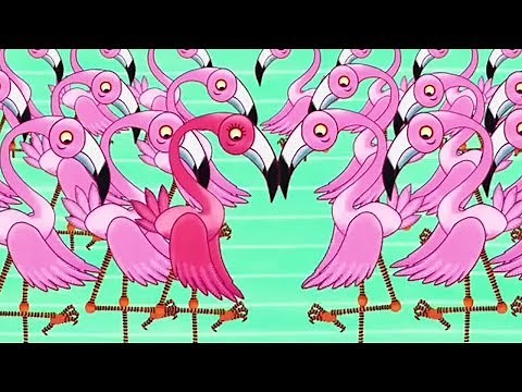 Tinga Tinga Tales Official | Why Flamingo Stands on One Leg | Videos For Kids