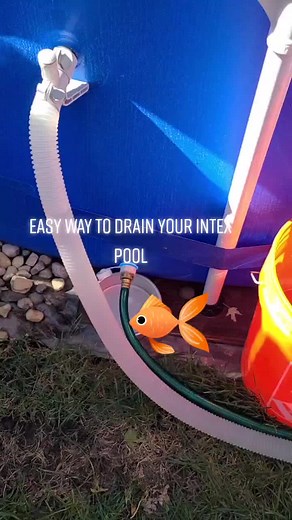 How to Drain and Repair Your Intex Pool