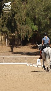 177K views · 2.2K reactions | Does your horse strike off on the...