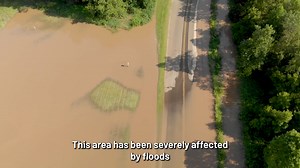 14 reactions |  Tomorrow we celebrate World Environment Day! ...