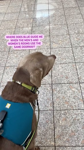 361K views · 42K reactions | Mum here: On my recently-posted video...