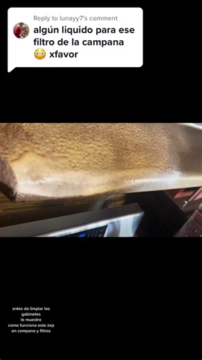 Cleaning Greasy Range Hood Filter with Zep Products