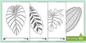 Rainforest Leaves Colouring Pack