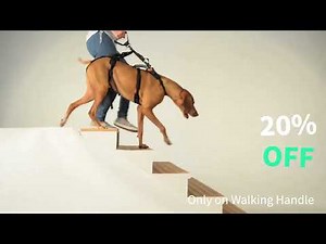 Help ‘Em Up Walking Accessories: Walking Handle