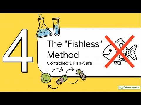 How to Cycle an Aquarium: Fish vs. Ammonia Method (Fish-less)