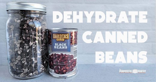How to Dehydrate Canned Black Beans