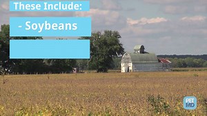 12K views · 119 reactions | Flatulence is a part of life, but it can be unpleasant when your dog is experiencing symptoms. Learn about why your dog farts: https://goo.gl/viyHvL | PetMD | Facebook