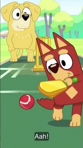 Bluey episode “cricket” season 3.
