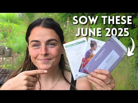 Sow These Flower Seeds Now For Late Summer Harvest (June 2025)