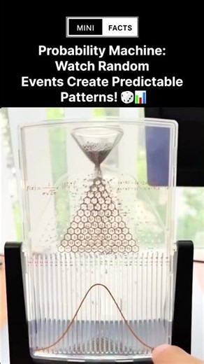 Probability Machine: Watch Random Events Create Predictable Patterns! 🎲📊