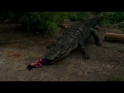 Mega Python VS Gatoroid 2011