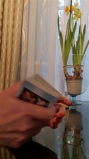 Tarot Card Reading: A Visual Journey