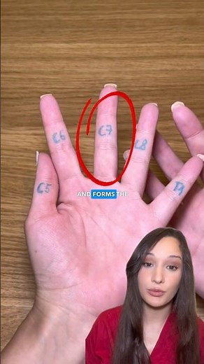 How to memorize the brachial plexus? #anatomy