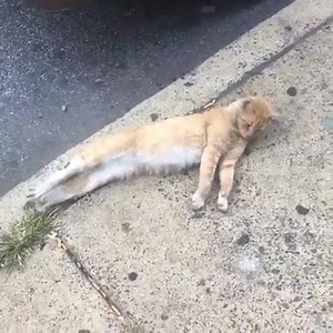 10K views · 267 reactions | Recent Searches on Reels | Facebook