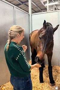 Trust Between Horse and Human: Quiet Bond in One Clip