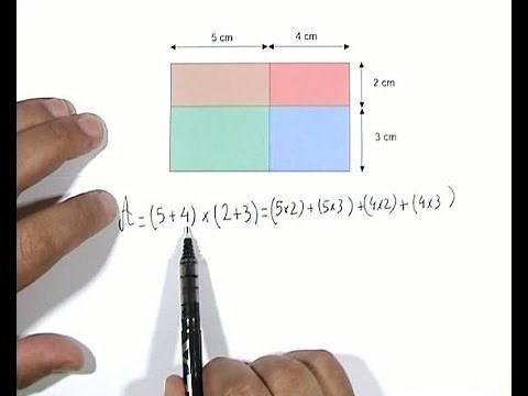 calcul littéral (4ème)