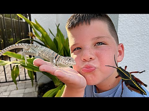 MY PET LIZARD!! Caleb & DAD CATCH LIZARDS and CATCHING BUGS in FLORIDA!