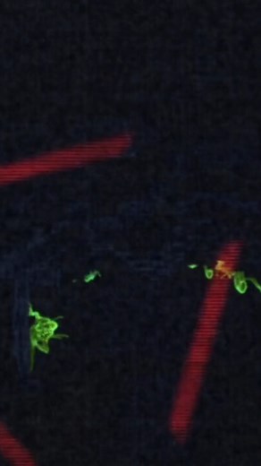 Alien vs Predator: The Ultimate Showdown Explained