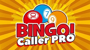 Bingo Calling Software - PRO - Etsy
