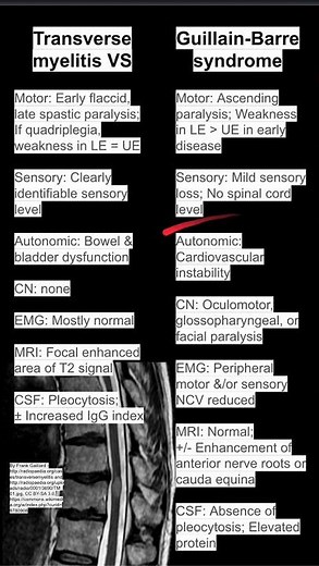 Transverse myelitis VS Guillain-Barre syndrome