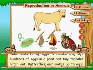 Animal Life - Reproduction in Animals - Animation Video Lecture - Class 8