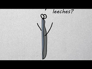 How lasers Work animation