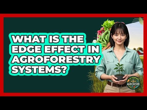 What Is The Edge Effect In Agroforestry Systems? - The World of Agriculture