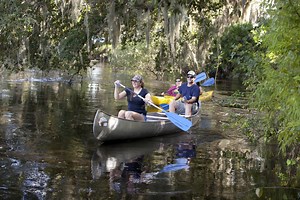 Bartow Florida - Things to Do & Attractions in Bartow FL
