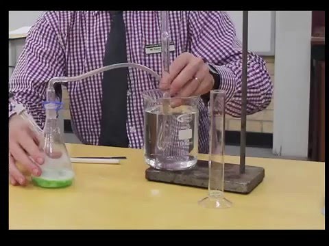 Catalase experiment